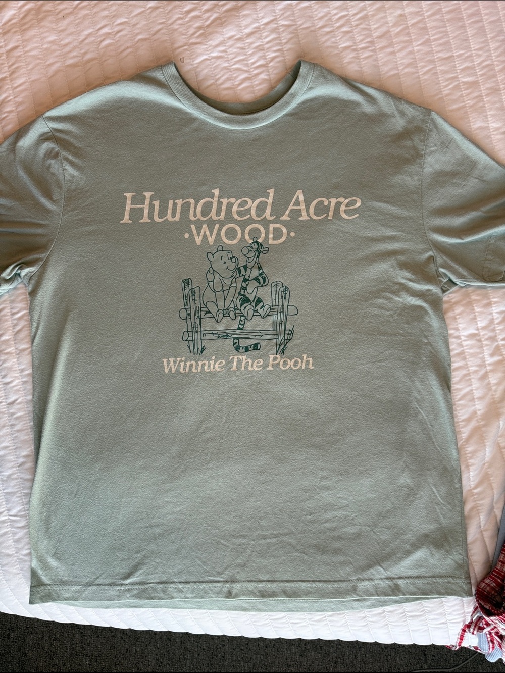 Disney Winnie the Pooh tee shirt